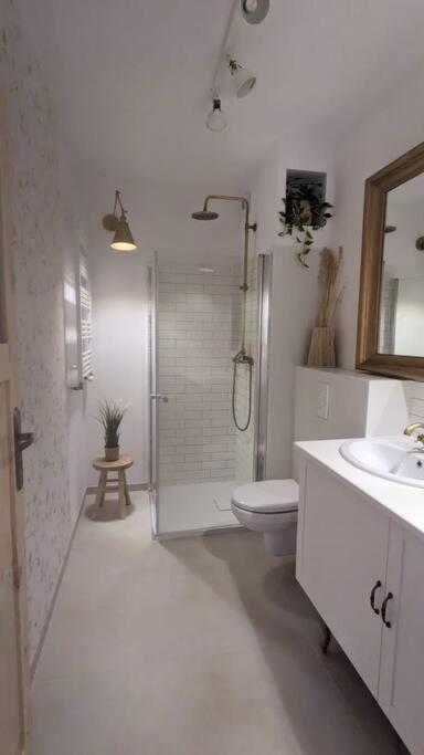 Apartament&Spa Lis&Las Sobótka エクステリア 写真