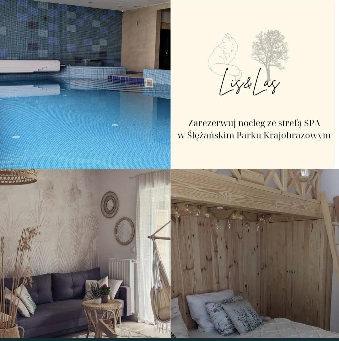 Apartament&Spa Lis&Las Sobótka エクステリア 写真